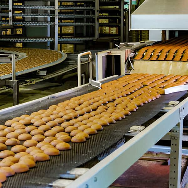Bakery Lines & Cooling Conveyors