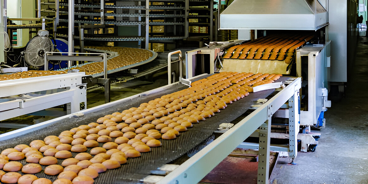 Bakery Lines & Cooling Conveyors