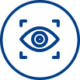 vision